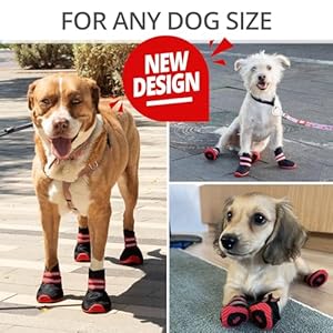 Breathable-Dog-Shoes-for-Small-Dogs-x4-Dog-Boots-for-Hiking-Rain-Heat-General-Paw-Protection-Size-40 - Cucciolini Doodles   Breathable-Dog-Shoes-for-Small-Dogs-x4-Dog-Boots-for-Hiking-Rain-Heat-General-Paw-Protection-Size-40