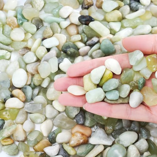 SIDONG 10 LB Jade Pebbles, 2/5 Inch Natural Decorative Polished Jade Stones, Jade River Rocks for Succulents, Cactus, Vases, Indoor Plants, Garden Landscaping, Bamboo by SIDONG - Used condition - US$24.69