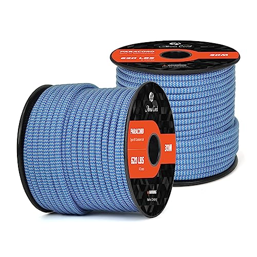 Abma Cord Paracord 620 lbs 4mm 9 Strands 100% Nylon 30M - Dark Blue & Silver Grey, Shockwave-dark Blue & Silver Grey, 30 Meters