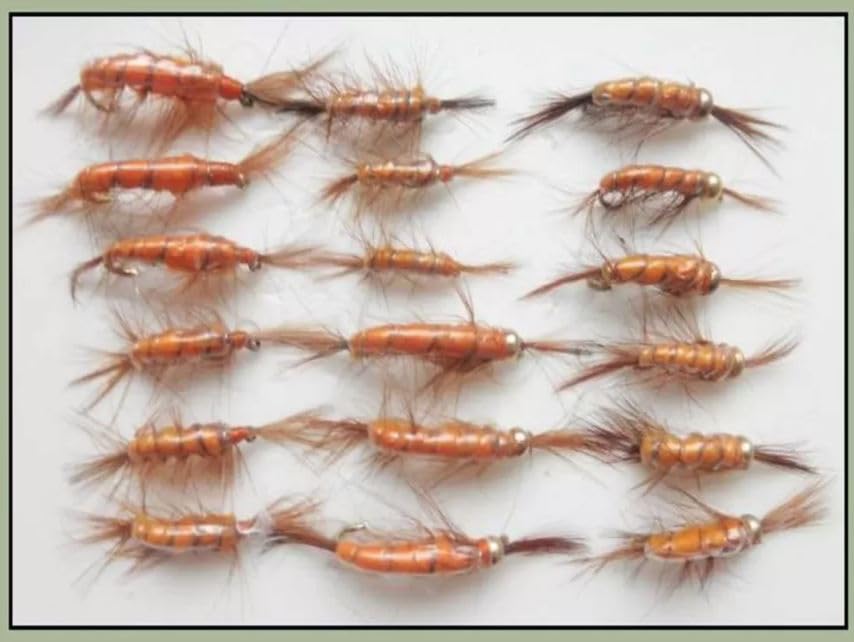 18 Shrimp Nymph Trout Flies Goldheand and Unweighted Choice (8/10)