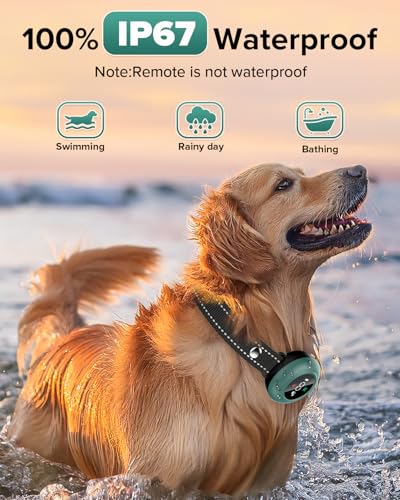 Image of [New 2025] 2-in-1 Dog Shock Collar & Bark Collar - 3300FT Dog Training Collar with Remote, Automatic Anti-Barking, 5 Adjustable Sensitivity Levels, IP67 Waterproof E-Collar for Small Medium Large Dogs