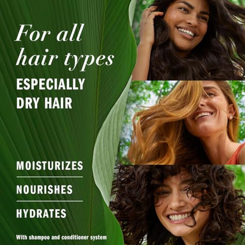 Image of Batana Oil for Hair Growth and Nourishment-100% Raw Unrefined Batana from Honduras,Strengthens, Moisturizes, Reduces Hair Fall(120ML,4.06FL.OZ)