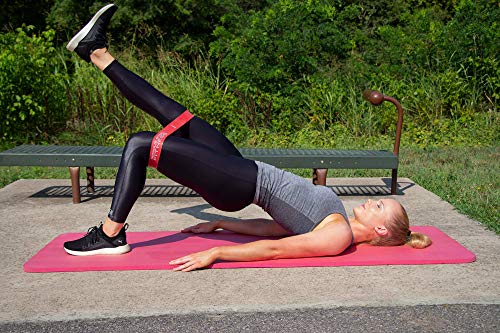 Image of Serious Steel Fitness Mini Resistance Loop Bands | Rehab and Prehab Stretch Bands | 12 inch Exercise Workout Bands (Sets of 5 Pack and Sets of 10 Pack Trainer Options Available!)