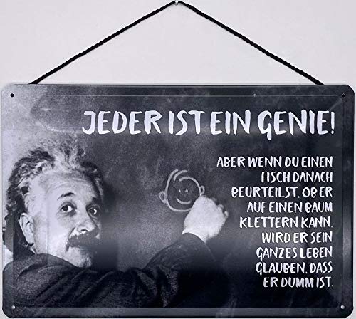 Blechschild Con cordón 30 x 20 cm Albert Einstein: cada es un genio.