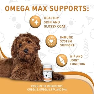 waggedy Omega Max Chews for Dogs with Salmon Oil & Flaxseed — Dog Essentials for Shiny Coats & Healthy Skin — Cat and Dog Supplements & Vitamins (60 Chews)