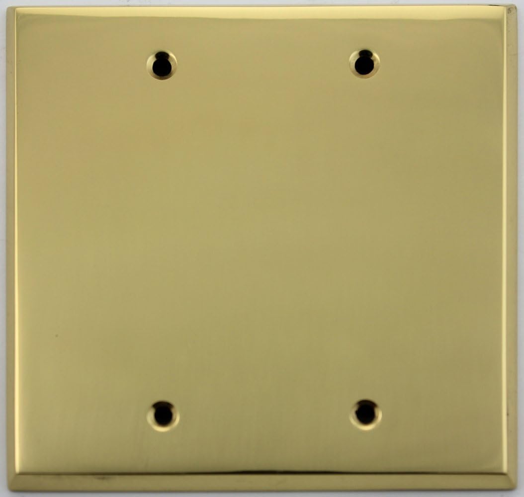 Polished Brass 2 Gang Blank Wall Plate