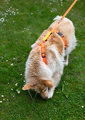 Feltmann Hundegeschirr Mantrailing/Suchgeschirr Profi -Super Soft, Neonorange, reflektierend, Bauchumfang 60-80 cm, 25 mm Bandbreite