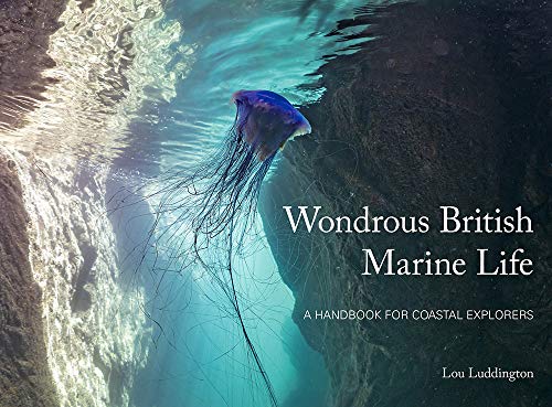 Wondrous British Marine Life: A handbook for coastal explorers