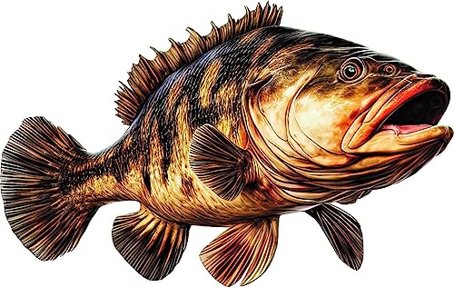 Grouper Beautiful Fish Decal | Fishing Decal for Boat, Car, Vehicle, Truck Etc | Waterproof Vinyl Sticker | Many Sizes & Styles Available | 12