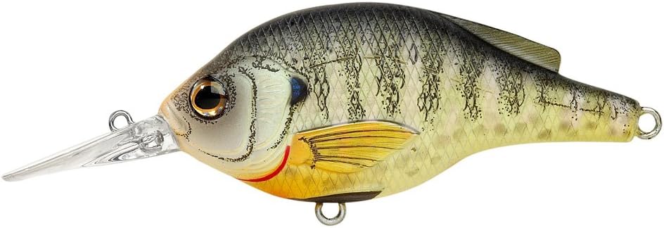 LIVETARGET Bluegill Roundbill Shallow Dive 2 3/4"
