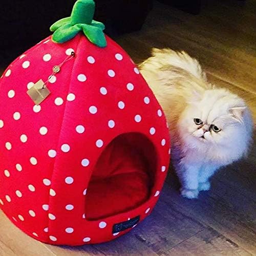 review NANDOG Insta Fun Specialty Dog and Cat Bed Collection (Strawberry)