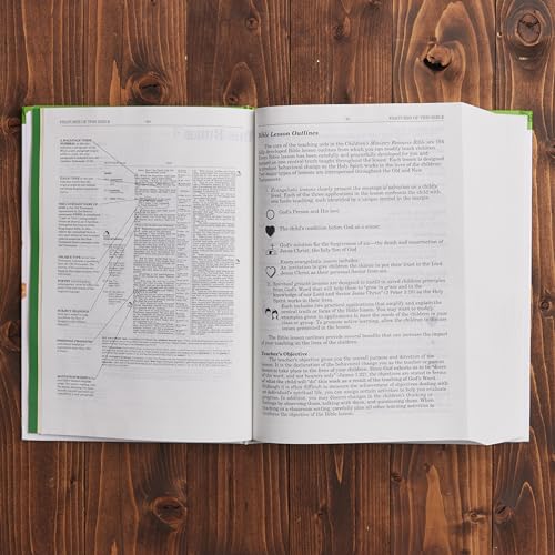 Image of Children's Ministry Resource Bible Helping Children Grow In The Light Of God's Word