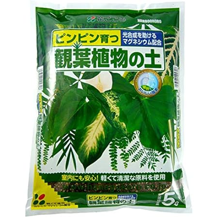 Amazon 花ごころ 観葉植物の土 5l Diy 工具 ガーデン