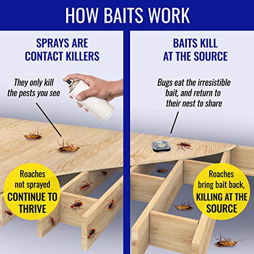 TERRO Ant & Roach Bait, 4-Pack, Indoor Ant Killer and Roach Killer - image 8