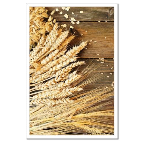 Poster 40x60 cm champs de grain cadre noir déco murale salon H10730Z