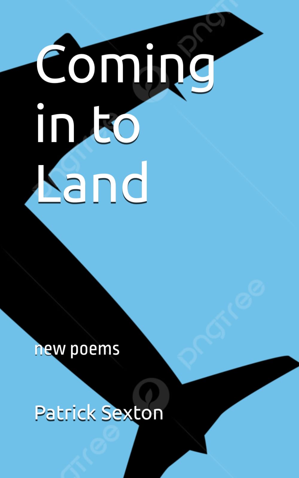 Coming in to Land: new poems