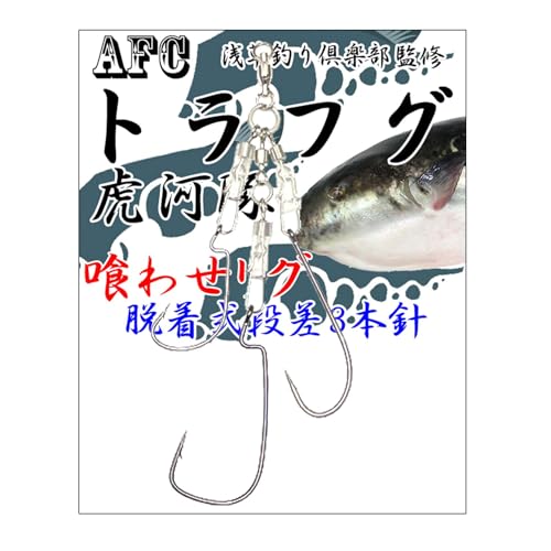 AFCދ gtO 킹O i 3{j {[xAOdl (gtO 킹O i 3{j)