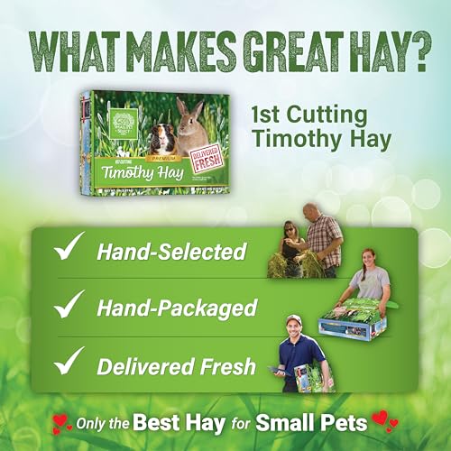 Image of Small Pet Select 1st Cutting Timothy Hay for Rabbits & Guinea Pigs, 2 lb | High Fiber Natural Hay, Grown in USA, Long Coarse Strands for Dental Wear, For Chinchillas, Hamsters, Bunnies & Small Pets