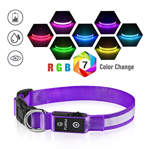 (50 OFF Coupon) LED Light Up Dog Safety Collar 9.99