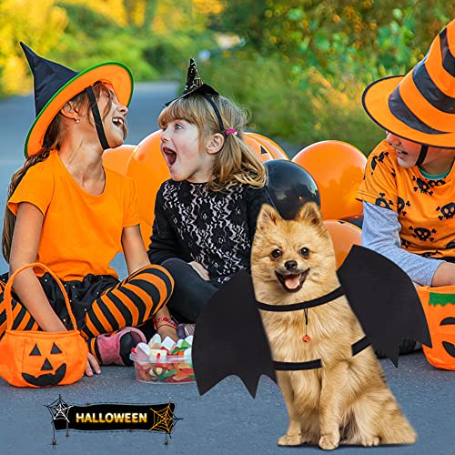 Vivifying Fledermausflügel Hund, Halloween Hundekostüm Fledermaus Flügel mit Kürbisglocke, Einstellbar Fledermaus Flügel Cosplay Dekoration(Hals: 12,6-20,5 Zoll/Brustumfang: 13,5-24,4 Zoll)