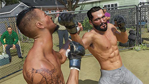 Electronic Arts UFC 4 (PS4)