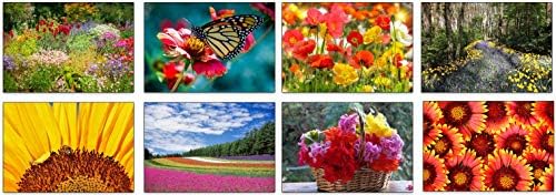 32 flower greeting cards with 32 envelopes flowers and garden.
