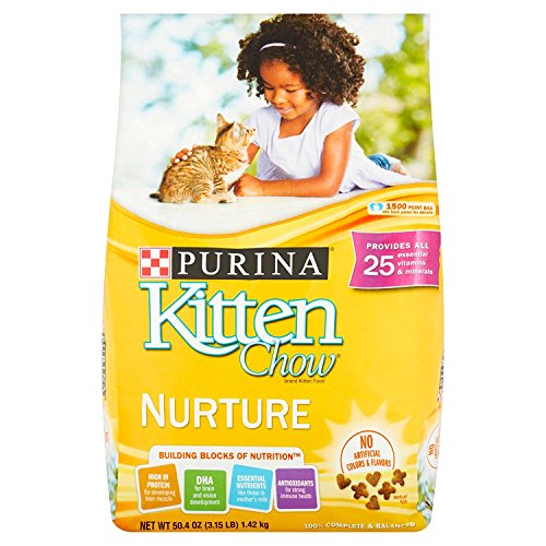 Purina Kitten Chow Dry Kitten Food, Nurture, 3.15 Pound Bag by Purina Cat