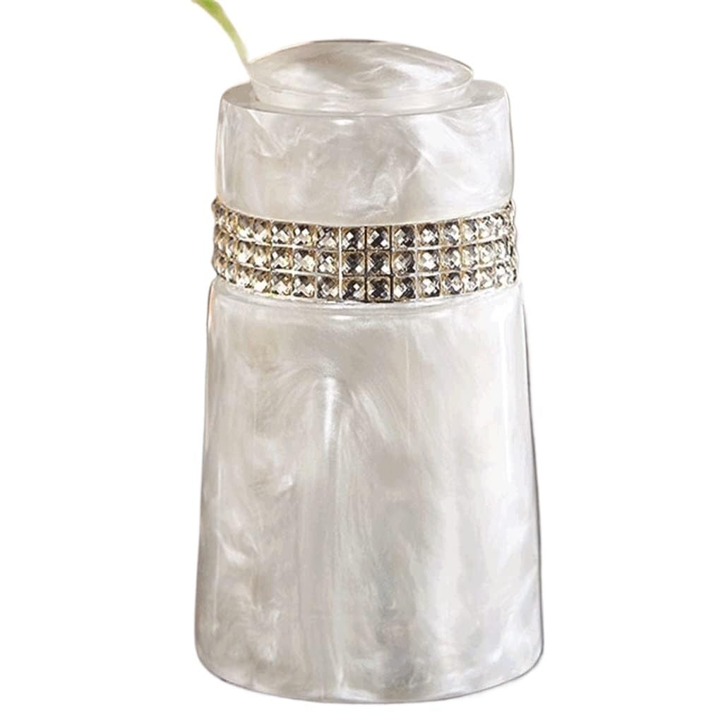 AYCDL Toothpick Box, toothpick holder,toothpick dispenser,European Fashion Toothpick Box Hand Pressure Toothpick Storage