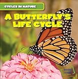 Cover for 9781482416503