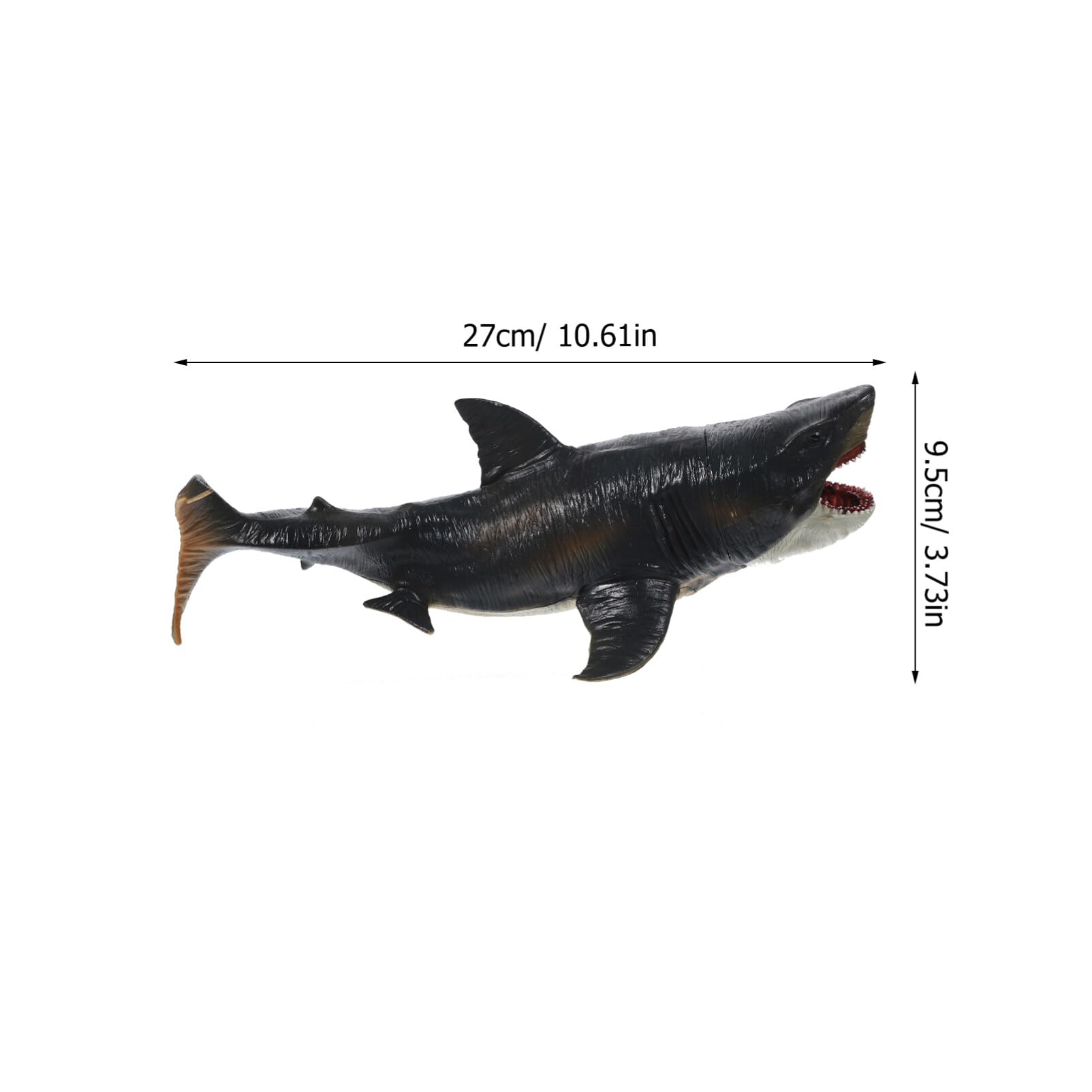 Amazon.co.jp: HOMSFOU サメ おもちゃ リアル サメ 置物