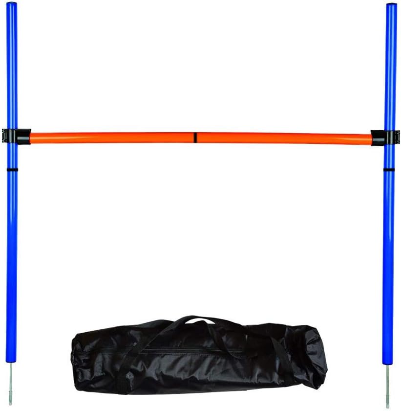 attrezzatura per esercizi di agilita per cani