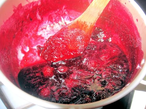 氷見市でブルーベリーのジャム作り体験 2名様 富山県 氷見市 体験 飲食 カフェ