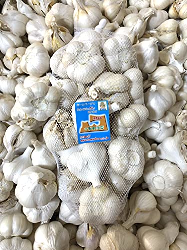 にんにく 訳あり品Mサイズ1kg 青森県産ホワイト六片種にんにく 国産