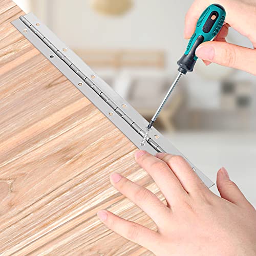 Escultora 2Pcs 12Inch Piano Hinge, 304 Stainless Steel Continuous Hinge With 20 Screws, 1.2Mm Thickness Fixing Folding Continuous Piano Hinge For Tool Boxes Lids, Cabinet, Work Bin #TOP2