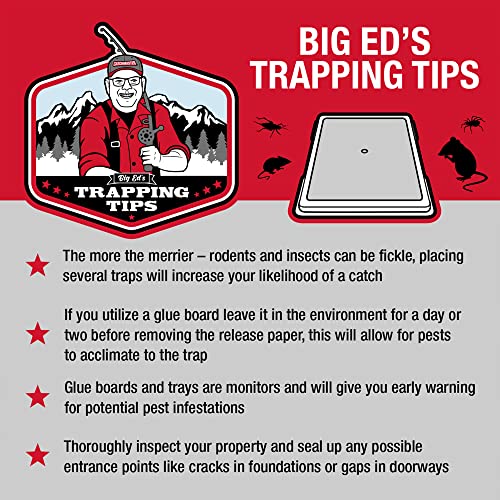 Baited Glue Traps By Catchmaster - 10 Pre-Baited Trays, Ready To Use Indoors. Rat Mouse Snake Exterminator Plastic Sticky Adhesive Easy No-Mess Simple Non-Toxic Disposable - Made In The Usa #TOP5