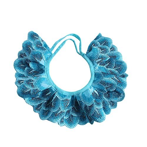 JUNENTER NVbNX^C ybg ẺH [X hJ  Lp plbNX WG[ (8.6-23.6C`)