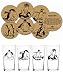 Corkology.com 412-1 Penguins Pint Pack with Matching Coaster Set, Clear