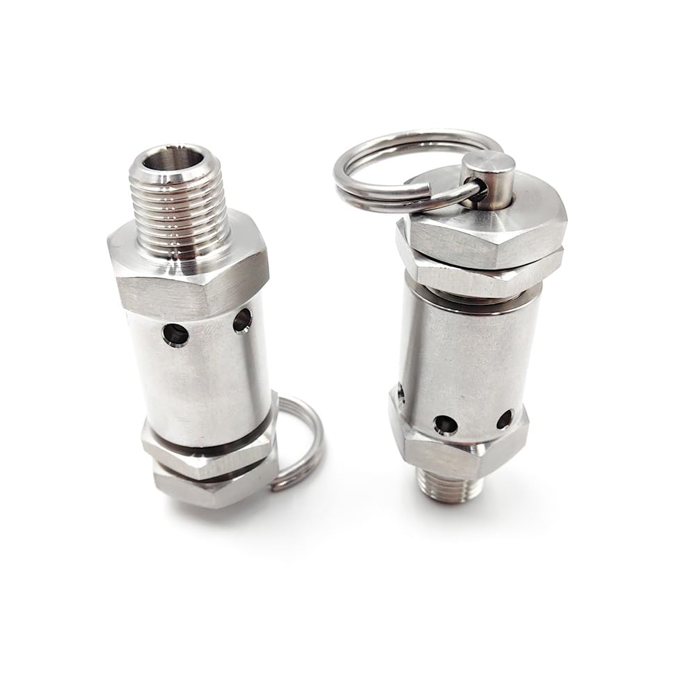 1pc 0.7Mpa Fixed BSPT 0.25inch Male Spring Valve Exhaust 304 Stainless Steel Suitable