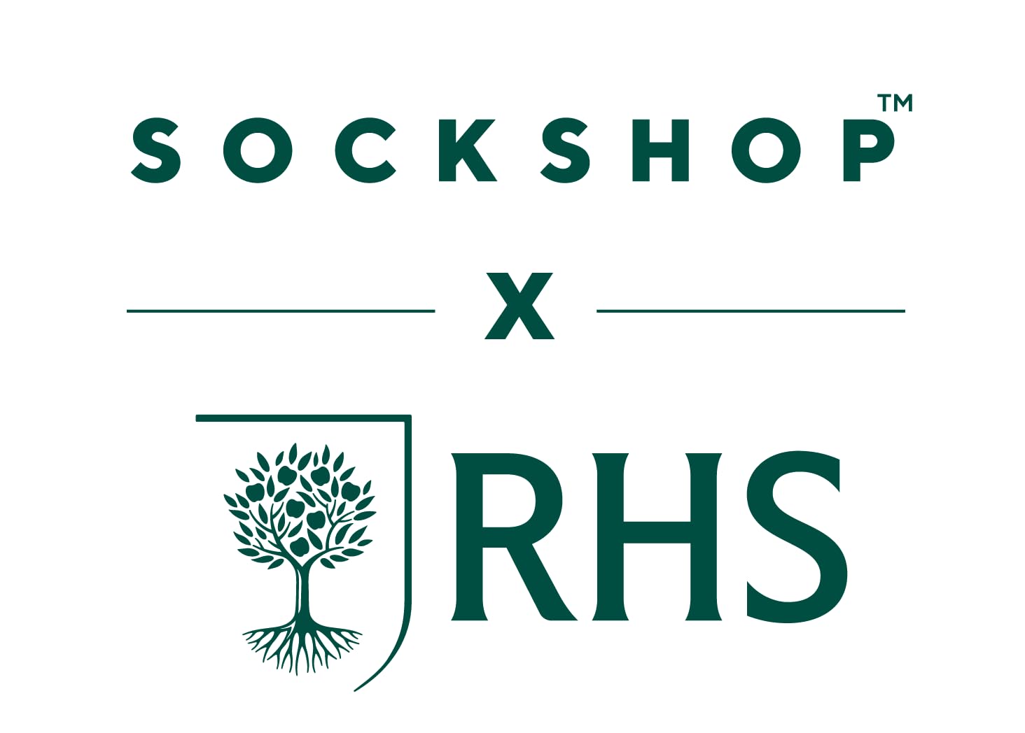 SockShop RHS Królewskie Towarzystwo Ogrodnicze Damskie Skarpetki - RHS x Delikatny Wzór Uchwytu, Bawełniane Skarpety, Prezent dla ogrodników, Rozmiar 37-42 3 pary