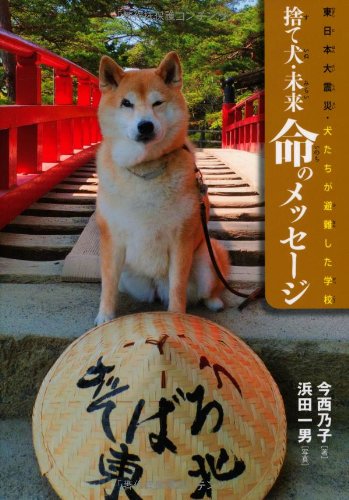 【大サイズラスト１匹・希少限定・新品・日本製】子犬のるーく L　カモフラマリン 東日本大震災・犬たちが避難した学校 捨て犬・未来 命のメッセージ