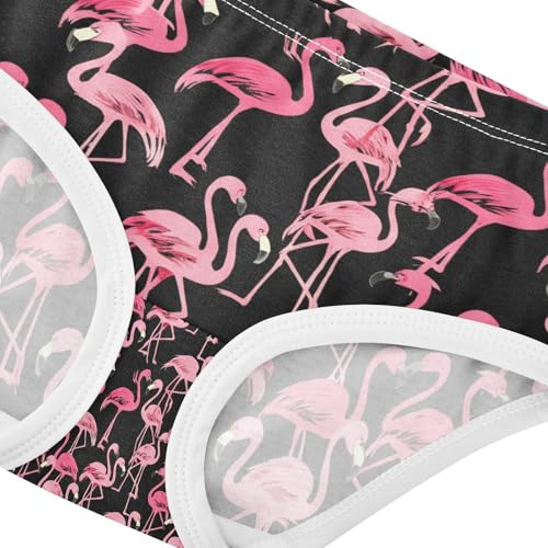 Pink Flamingo Toddler Girls's Underwear 2T 202c13374