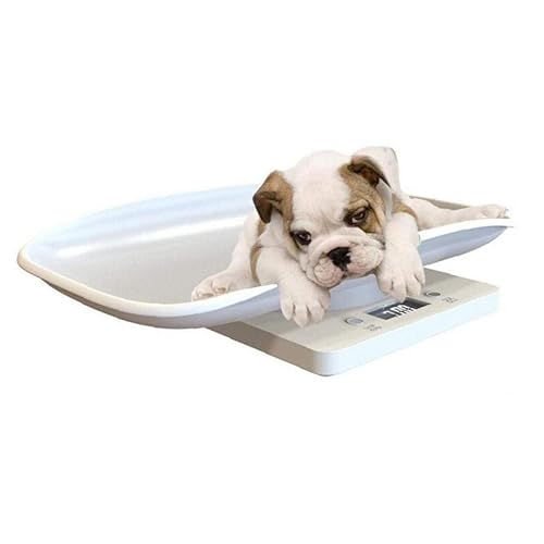 Miniatura 5 de 1 unid báscula electrónica de bebé digital de plástico para mascotas con pantalla LCD herramienta de medición de pesaje infantil de alta precisión