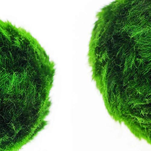 ULTECHNOVO 3 Pcs Marimo Musgo Bolas Algas Verdes Planta AquÃ¡tica AquÃ¡rio Peixes Tanque de CamarÃ£o