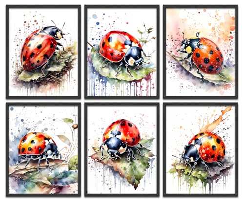 LNLAGBO Colorful Insect Wall Art Prints,Ladybird Watercolour Canvas Wall Art,Insect