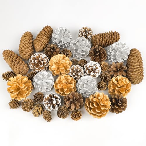 Fangoo 40Pcs Natural Christmas Gold Silver Pine Cones Bulk Snow