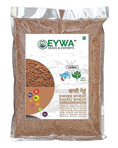 Image of Organic Khapli Wheat Whole Grains (2 Kg) For Eating And Cooking|Khapli Gehu Daane|Produce Of India From Organic Farms|By Eywa