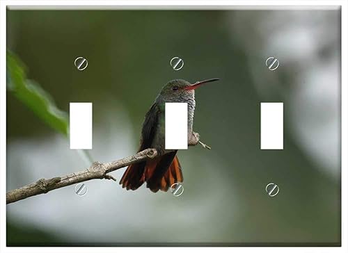 Switch Plate Triple Toggle - Fauna Nature The India Quindio 1 disponible en Yaxa Guatemala