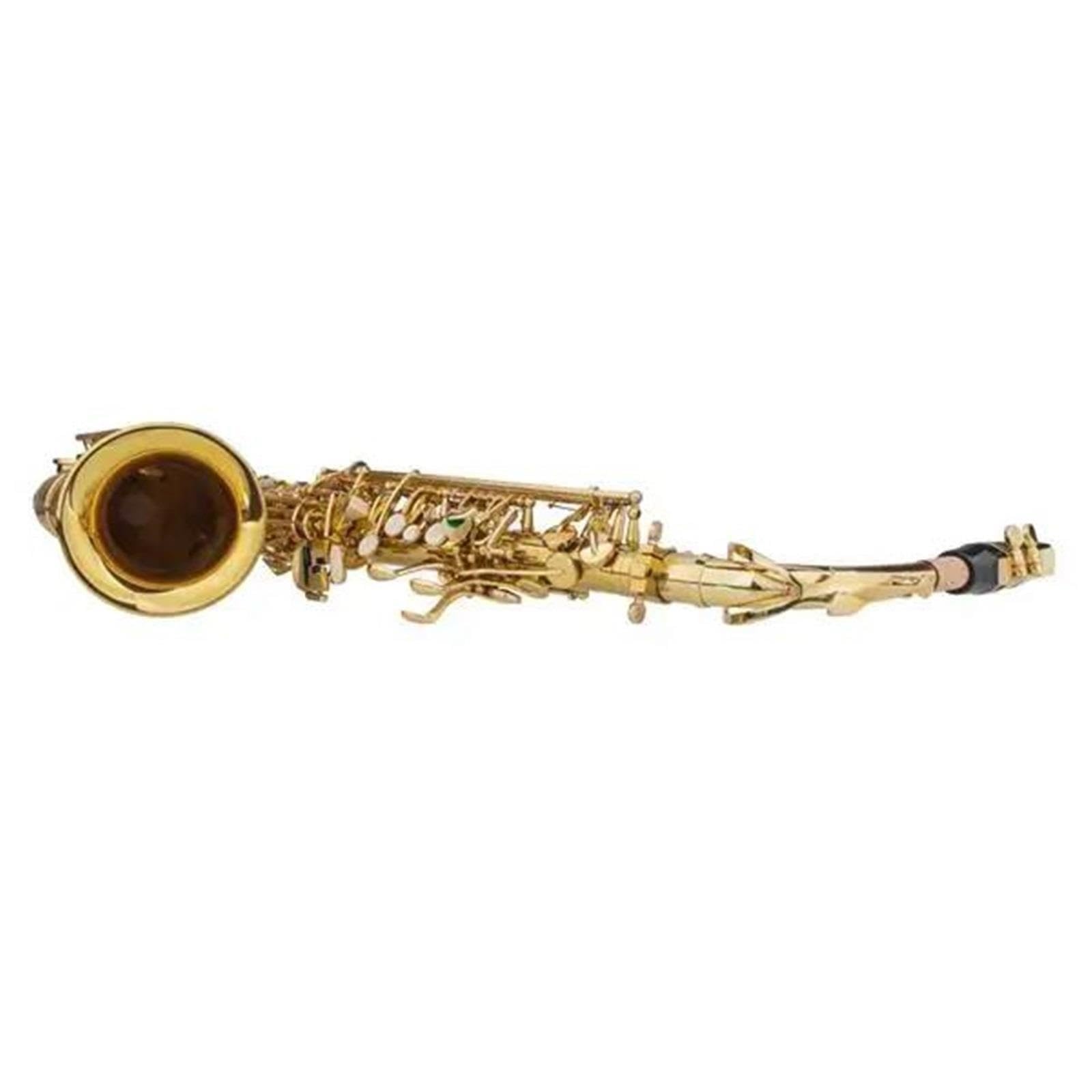 Adulte Saxophone Saxophone Alto Drop E Doré Professionnel