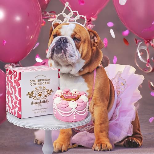 Image of Thoughtfully Pets, Pink Princess Dog Birthday Gourmet Mini Cookie Cake, Peanut Butter Flavored, Hand Decorated Hollow Biscuit Cake for Any Breed