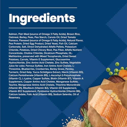 Image of Blue Buffalo Life Protection Formula Adult Dry Dog Food, Helps Build and Maintain Strong Muscles, Made with Natural Ingredients, Salmon & Brown Rice Recipe, 15-lb. Bag